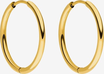 PURELEI Earrings 'Sleeky' in Gold: front