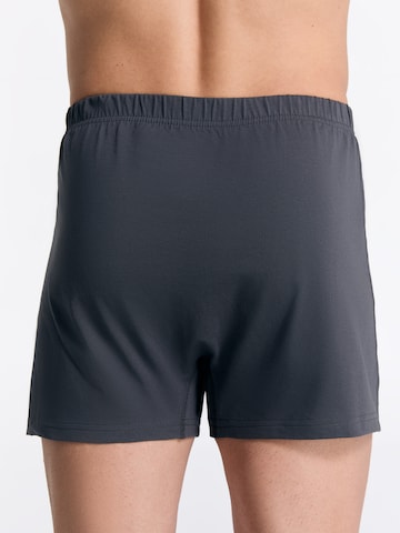 Albero Natur Boxershorts in Grau