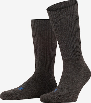 FALKE Socken 'Walkie Ergo' in Grau: Vorderseite