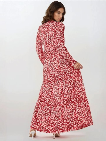 Hiccup Kleid in Rot