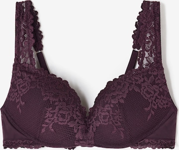 INTIMISSIMI Bra 'Gioia' in Purple: front