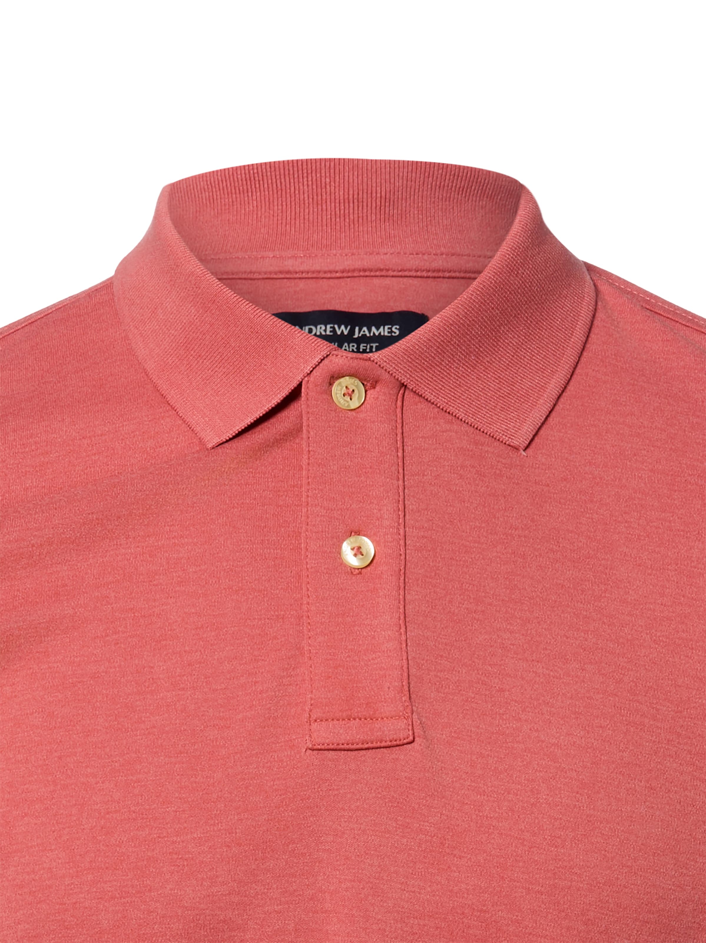 Andrew James Shirt in Orange