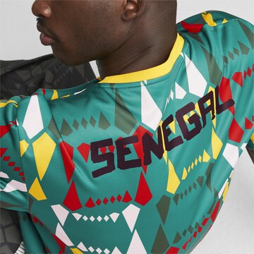PUMA Functioneel shirt 'Senegal' in Groen