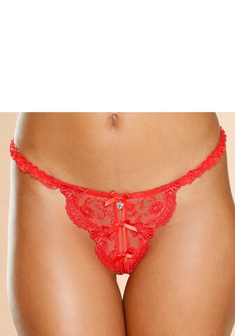 PETITE FLEUR GOLD Thong in Red: front
