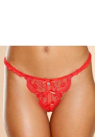 PETITE FLEUR GOLD Stringit värissä punainen: etupuoli