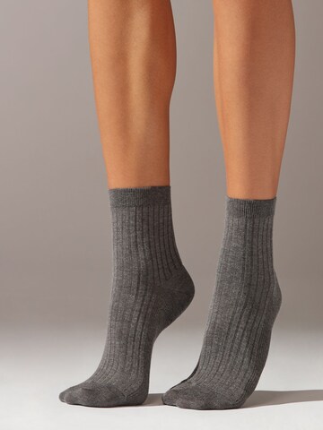 CALZEDONIA Socks in Grey: front