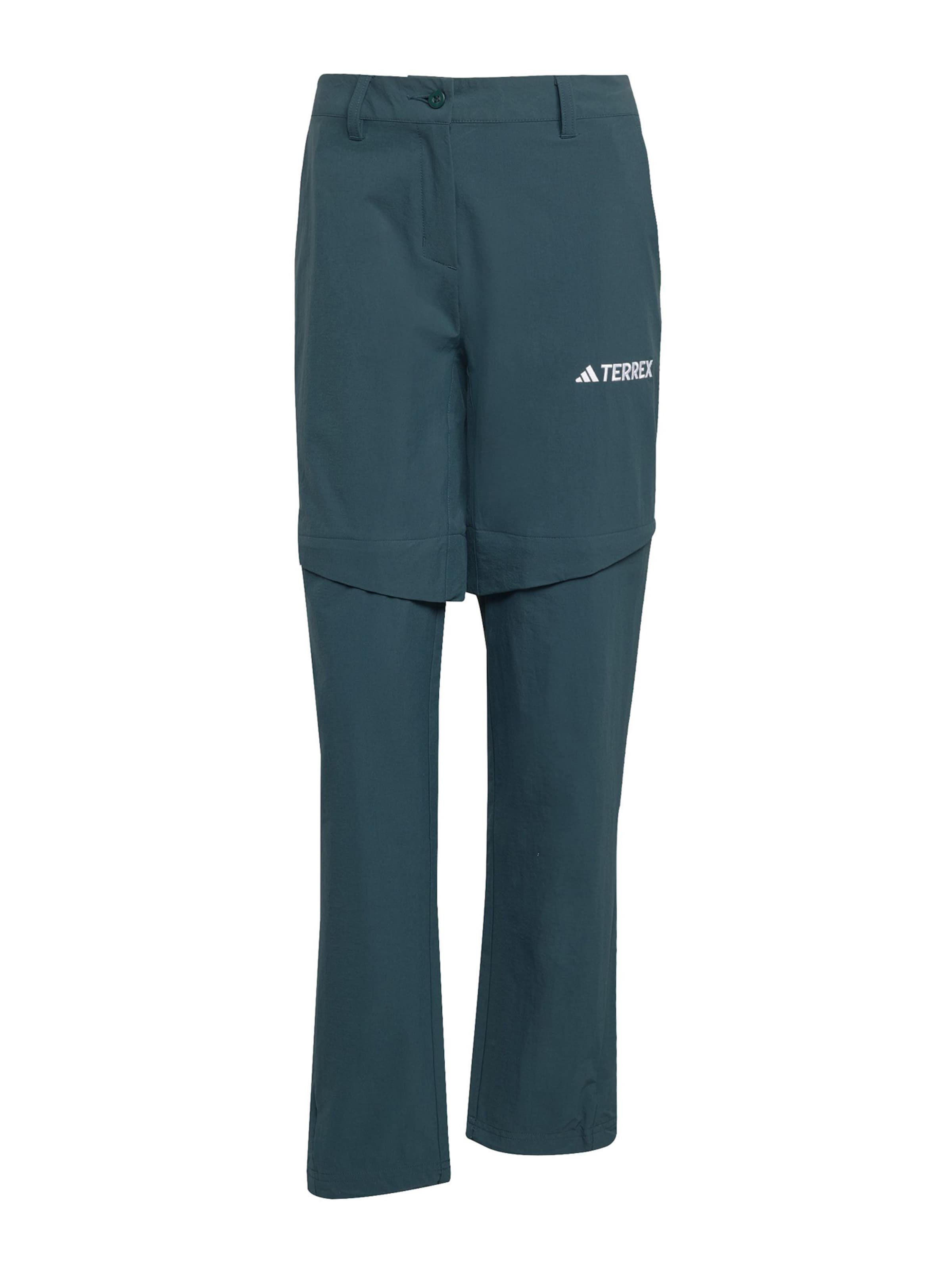 Regular Pantalon outdoor ADIDAS TERREX en vert : devant