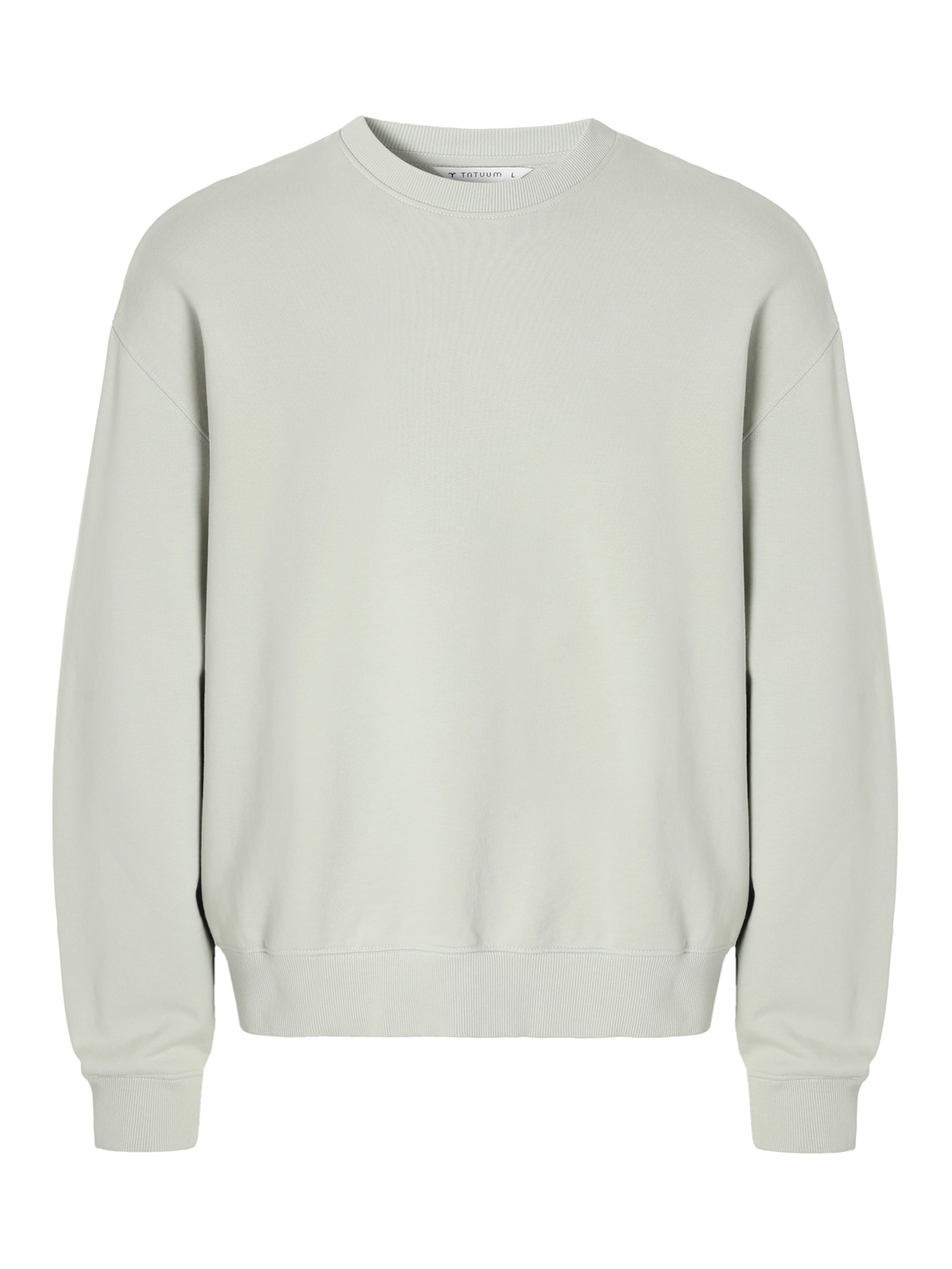 TATUUM Sweatshirt in Groen: voorkant