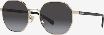 COACH - Óculos de sol em cinzento: frente