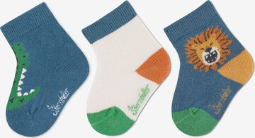 STERNTALER Ponožky – modrá: přední strana