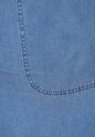 usha FESTIVAL Tapered Trousers in Blue