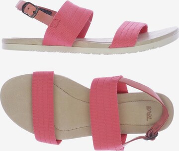 TEVA Sandals & High-Heeled Sandals in 37 in Pink: front