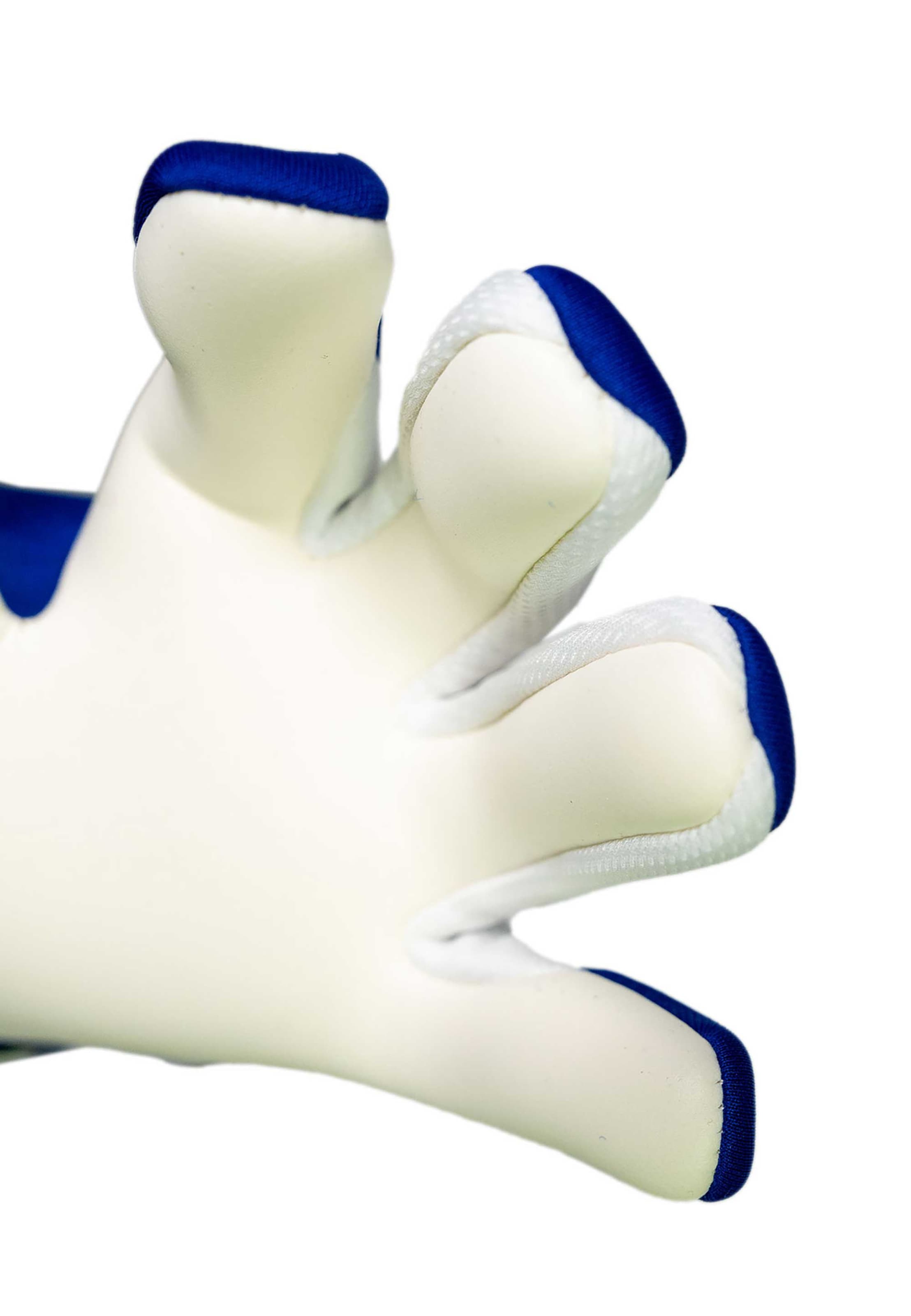 REUSCH Sports gloves 'Fastgrip Advance' in Blue