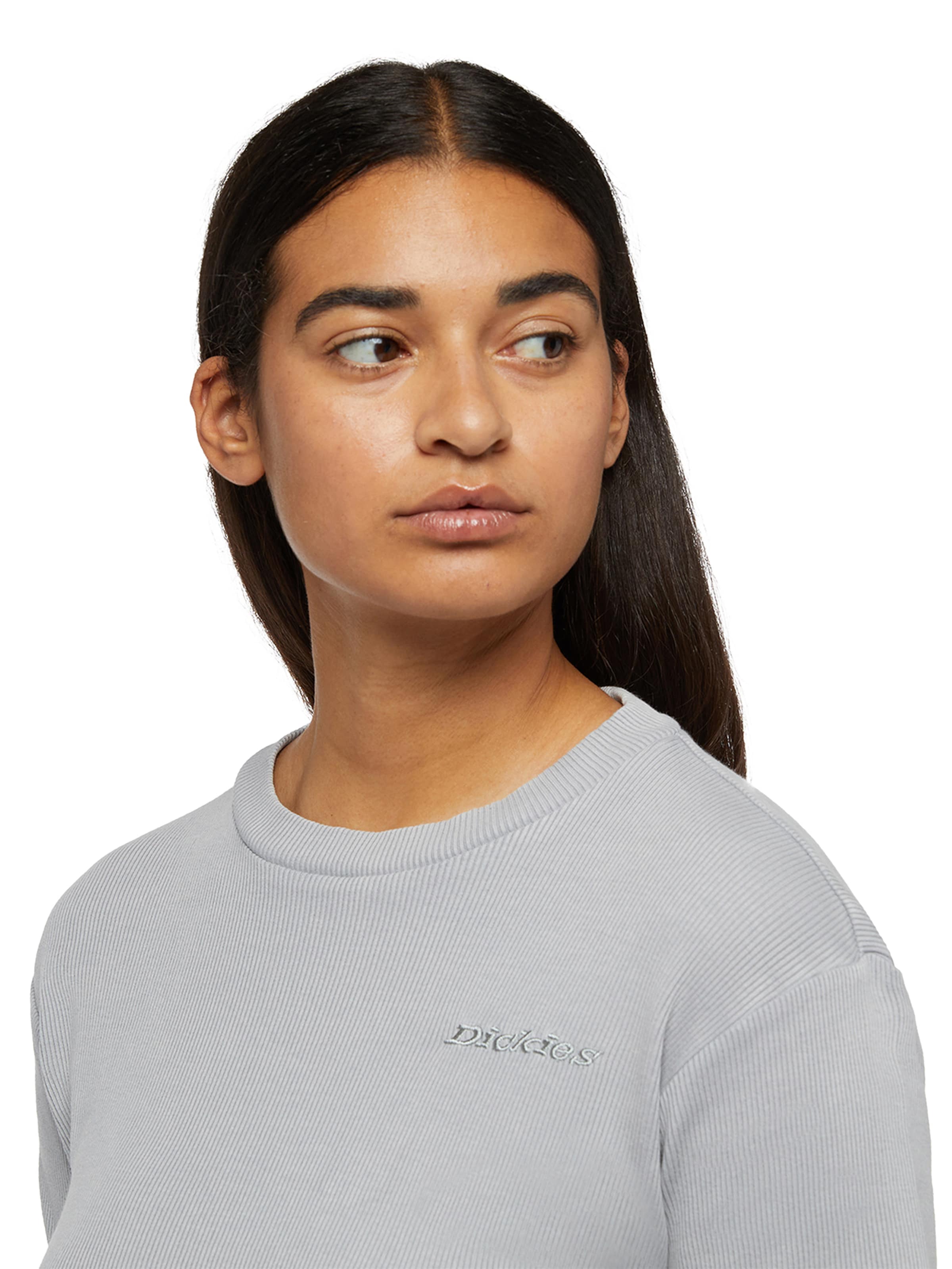 DICKIES Μπλουζάκι 'PLENTYWOOD TEE SS W' σε γκρι