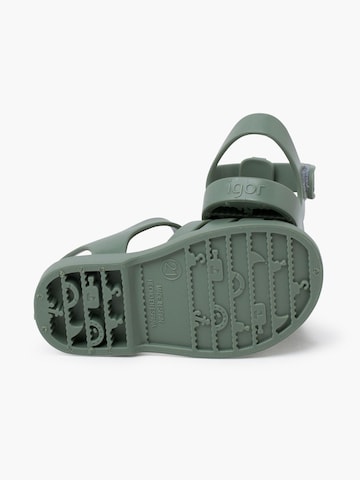Claquettes / Tongs IGOR en vert