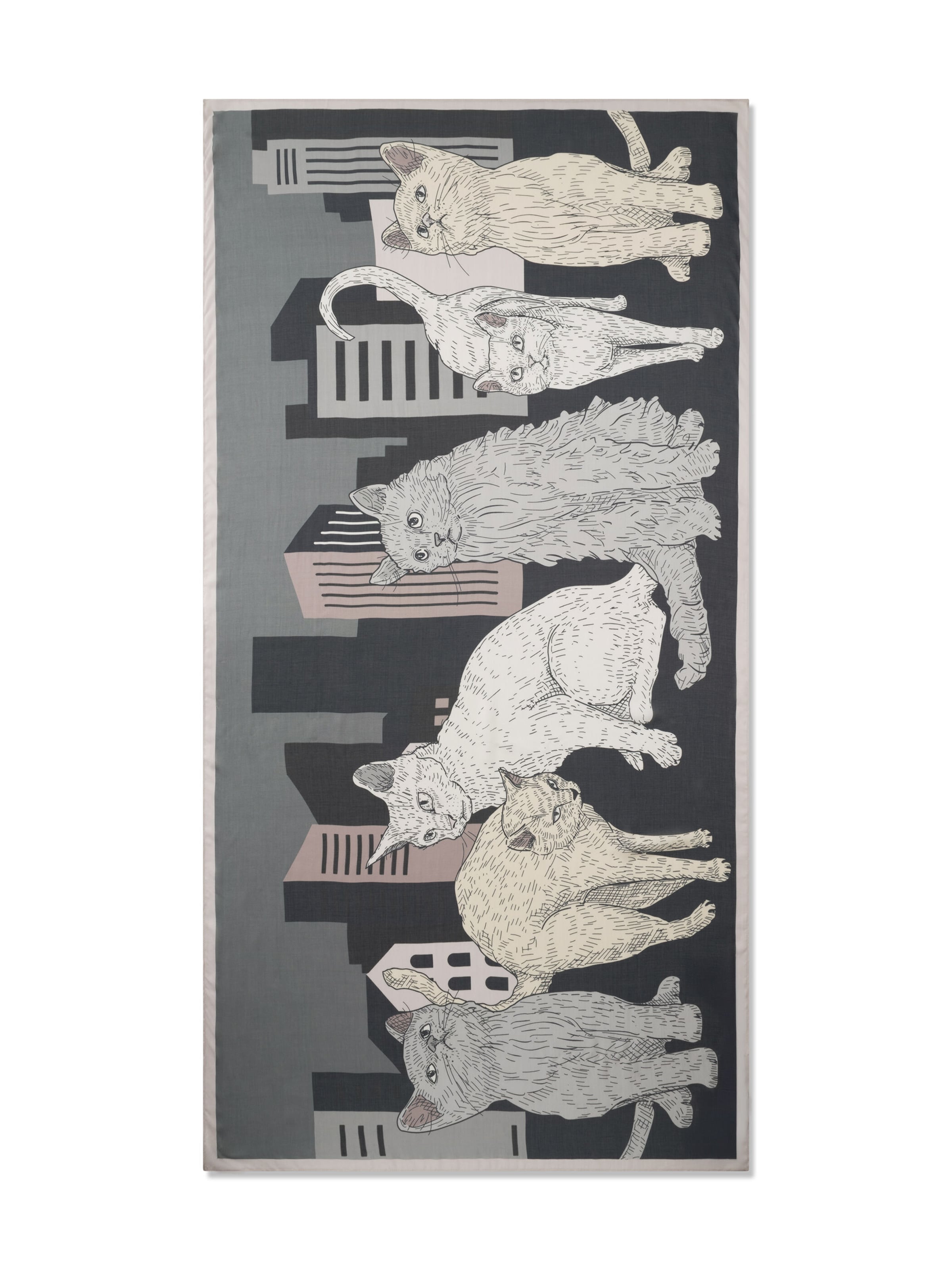 CODELLO Sjaal in Blauw: voorkant