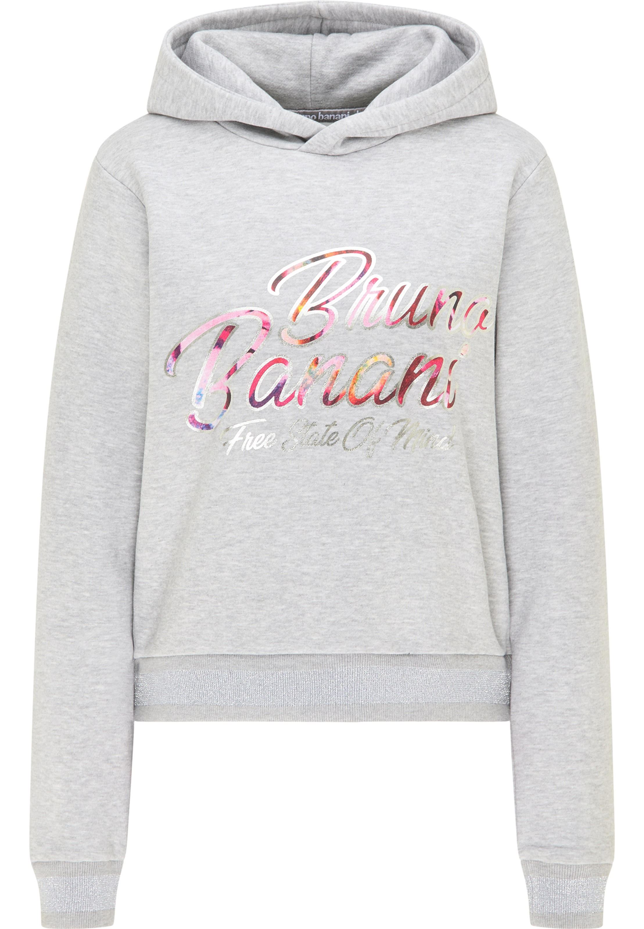 Sweat-shirt 'Bryant' Bruno Banani en gris : devant