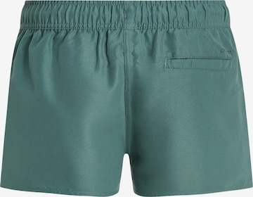PROTEST Athletic Swimwear 'PRTEVI JR' in Green: front