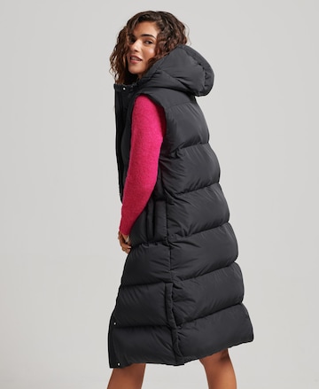 Superdry Bodywarmer in Zwart