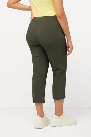 Ulla Popken Regular Broek in Groen