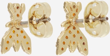 PATRIZIA PEPE Earrings in Gold