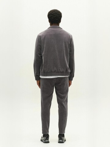 GABBA - regular Pantalón ' GABmonza ' en gris: atrás