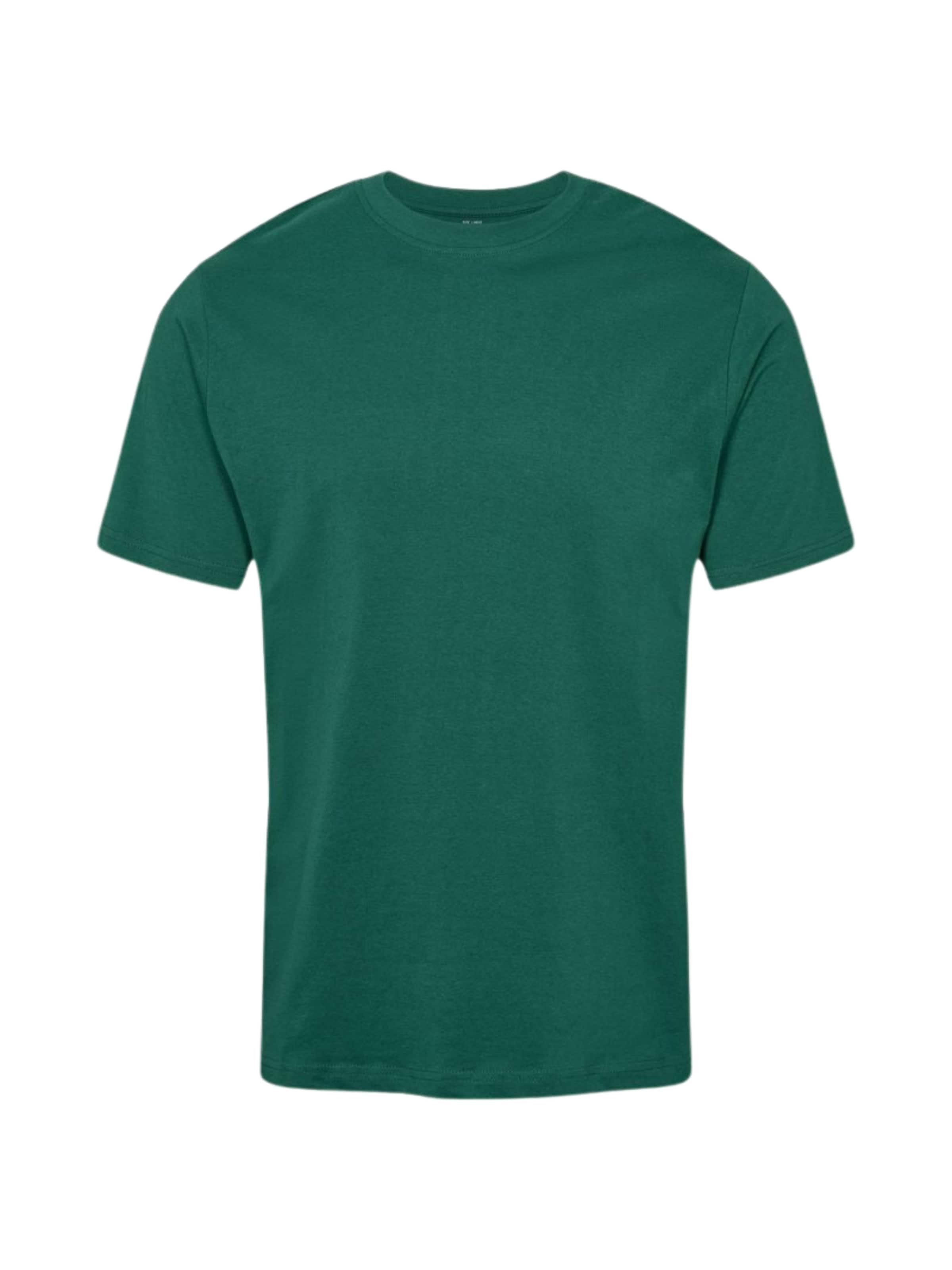 Regular fit Camicia ' DPM ' di Denim Project in colori misti