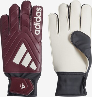 ADIDAS PERFORMANCE Athletic Gloves in Red: front