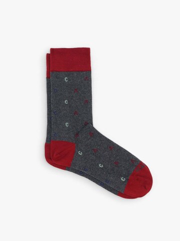 Scalpers Ponožky – šedá