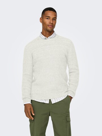 Only & Sons - Jersey 'ONSTEGAN' en blanco: frente