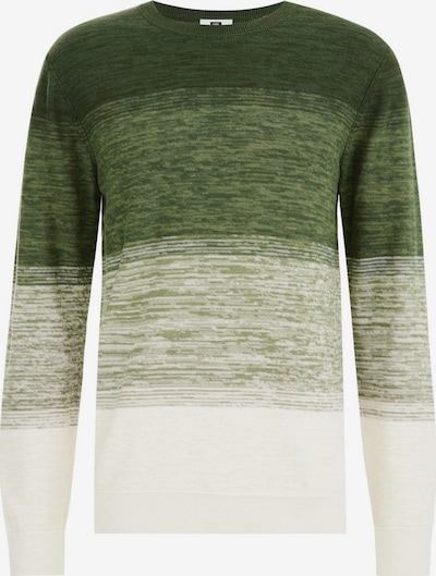WE Fashion Sweater in Light green / Dark green / White, Item view