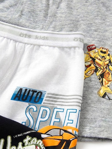 ÖTSGaće 'ÖTS Herren Boxershorts' - miks boja boja