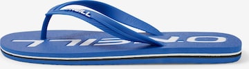 Tongs O'NEILL en bleu : devant