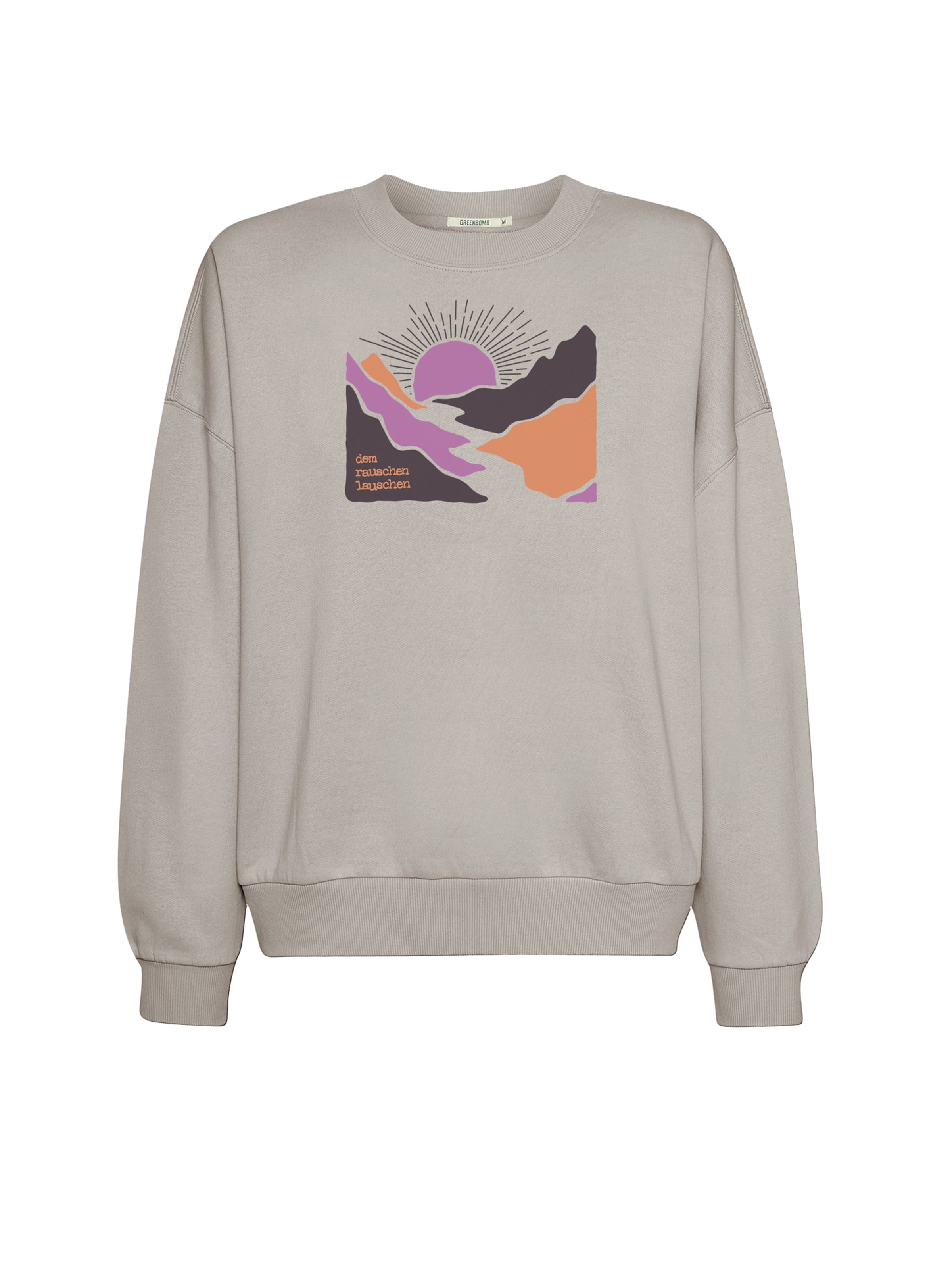 Sweat-shirt ' Loony River Sundown ' GREENBOMB en gris : devant