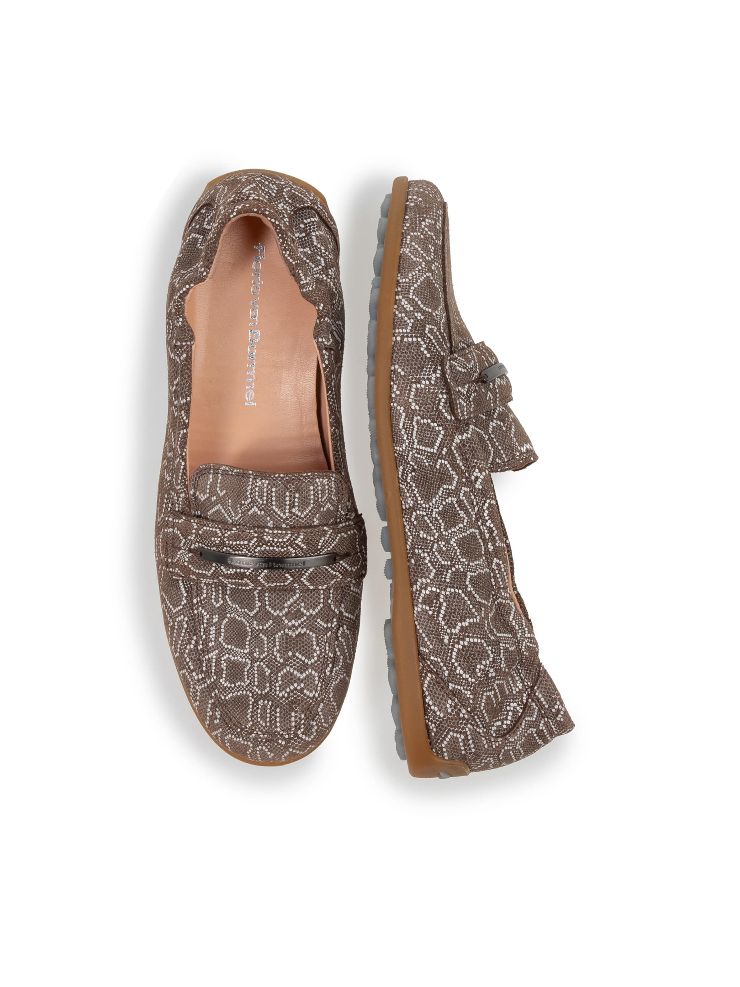 Floris van Bommel Classic Flats 'Sitti 03' in Brown