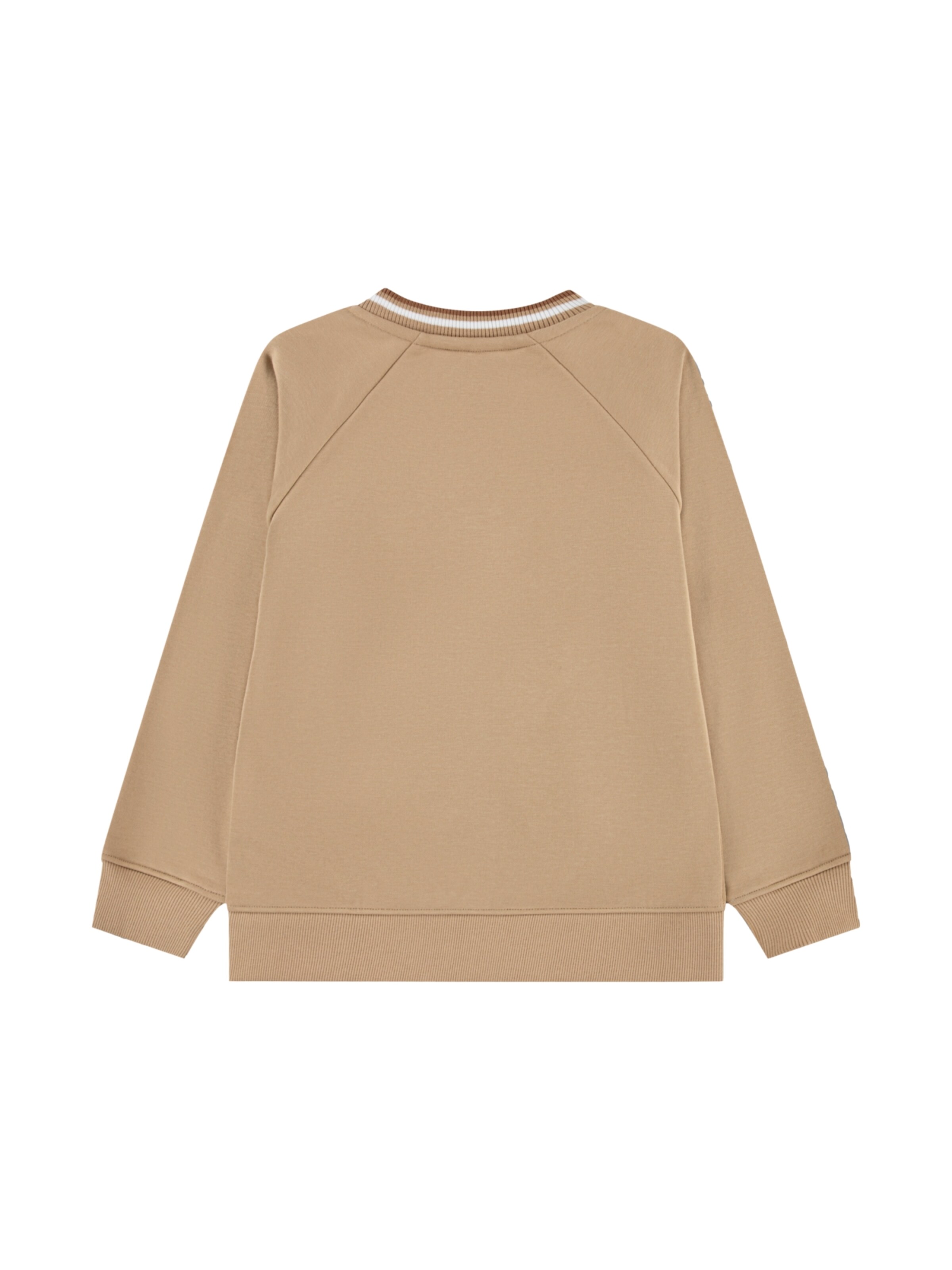 LACOSTE Sweatshirt in Braun