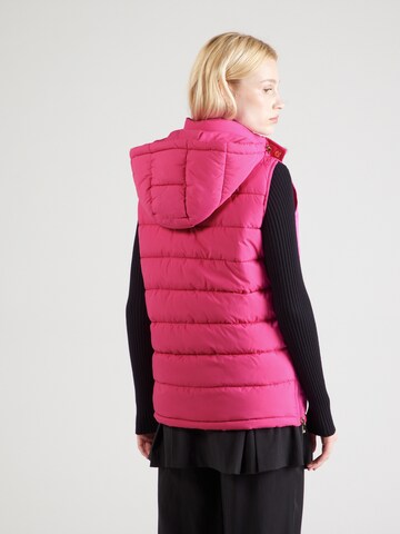 Gilet 19V69 ITALIA en rose