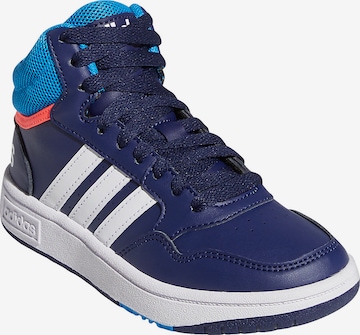 ADIDAS ORIGINALS Sneaker 'Hoops 3.0' in Blau