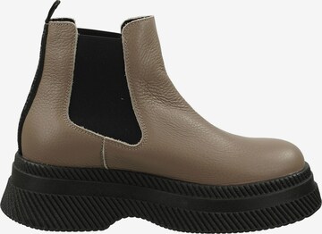 Chelsea Boots STEVE MADDEN en beige