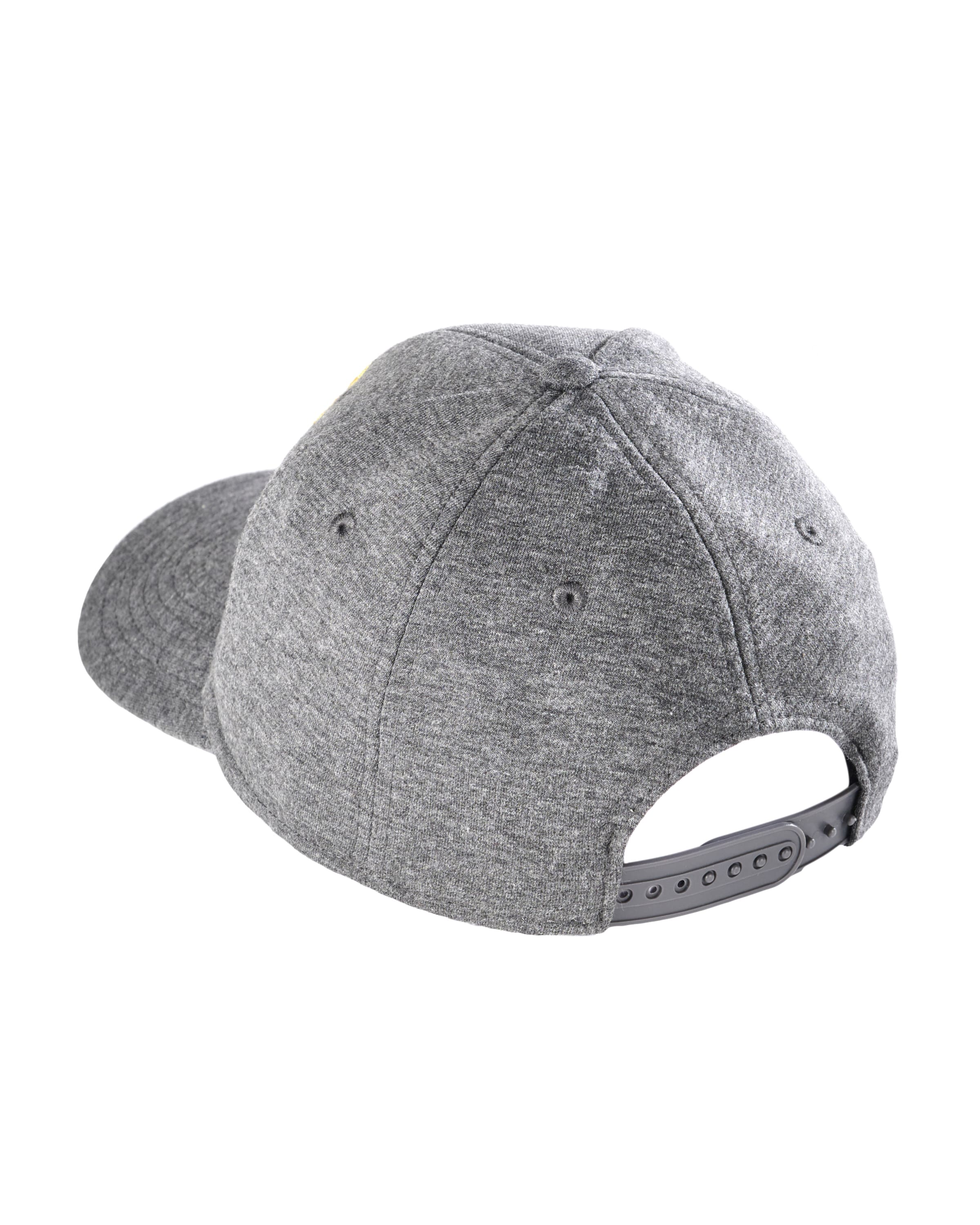 TOP GUN Cap in Grey