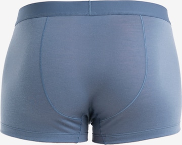ICEBREAKER Sports underpants 'Anatomica' in Blue