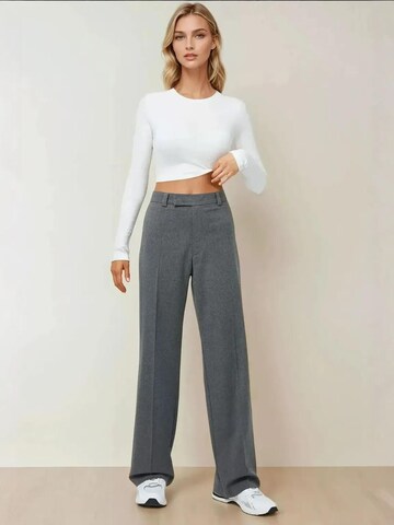 Hiccup Regular Pleated Pants in Grey
