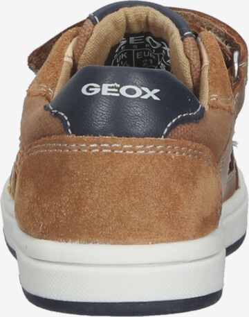 GEOX Sneakers in Bruin