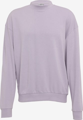 Urban Classics Sweatshirt in Purple: front