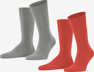 BURLINGTON Socks in Grey: front