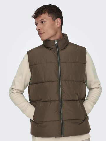 Only & Sons Vest 'Melvin' in Brown: front