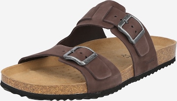 GEOX Mules 'Ghita' in Brown: front