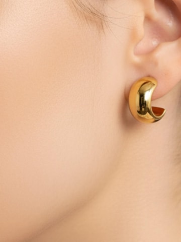 Maxte Ohrringe‌ in Gold