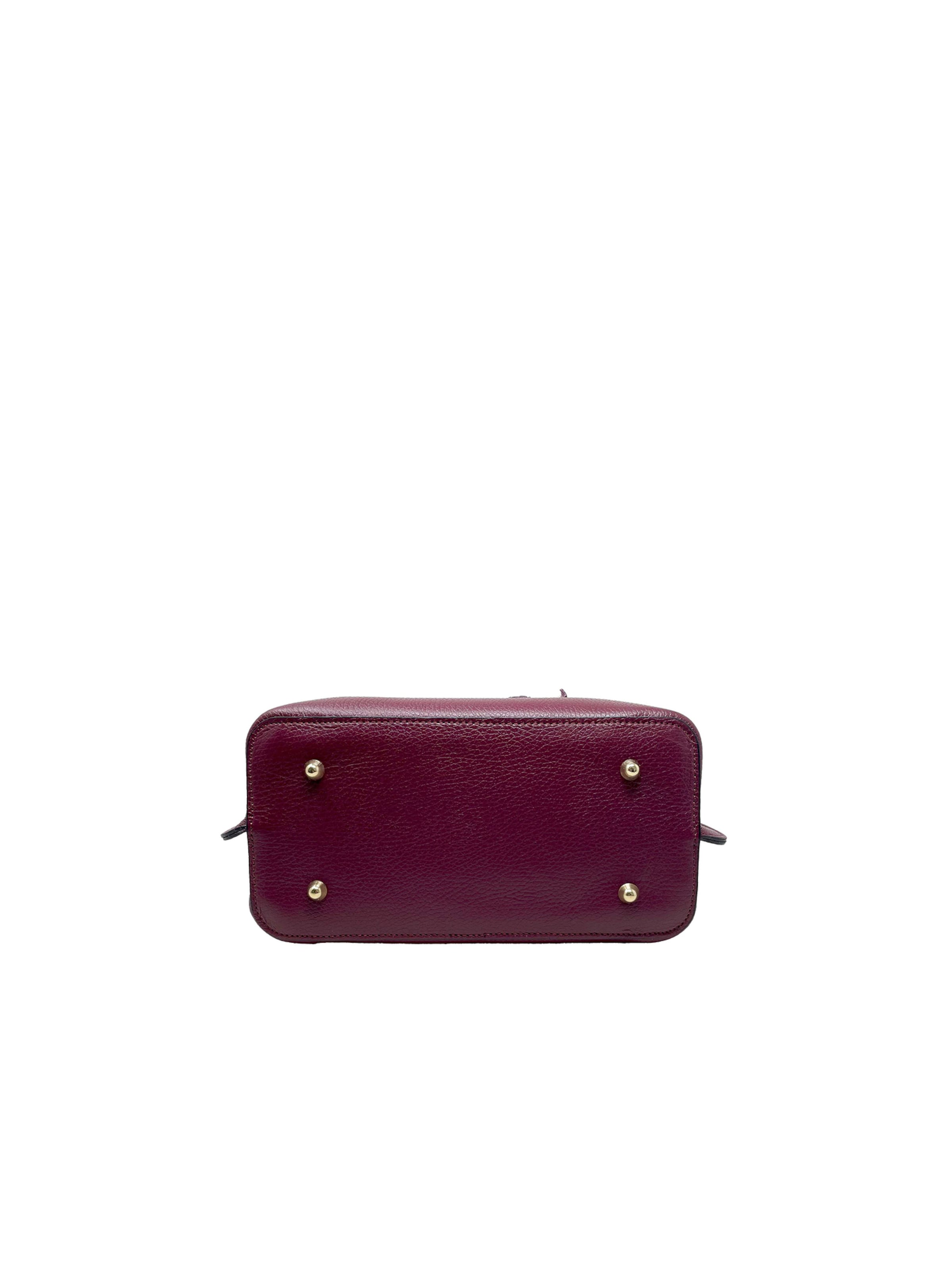 CHICCA BORSE Handbag in Red