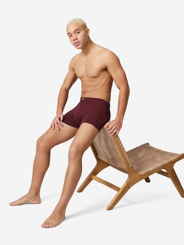 SNOCKS Boxershorts in Mischfarben